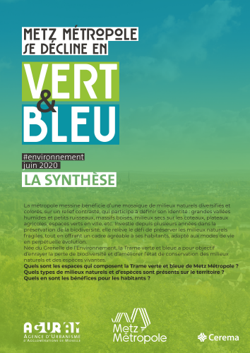 METZ MÉTROPOLE SE DÉCLINE EN VERT ET BLEU ! #TVB, LA SYNTHÈSE