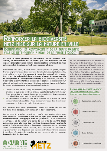 BIODIVERSITÉ, ÎLOTS DE CHALEUR, QUALITÉ DE L’AIR, EAUX PLUVIALES : METZ MISE SUR LA NATURE EN VILLE