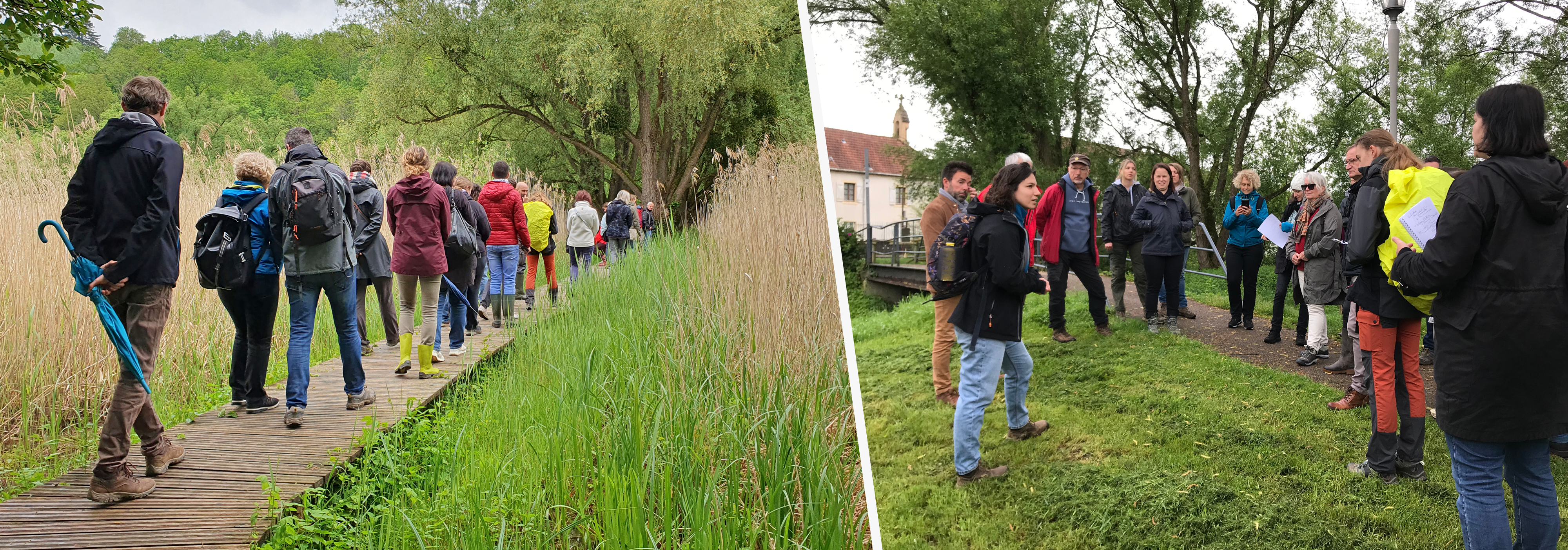 RETOUR SUR LA VISITE DU MARAIS DU GRAND SAULCY